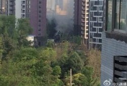 成都公园爆料最新消息,探寻绿意盎然中的秘密角落